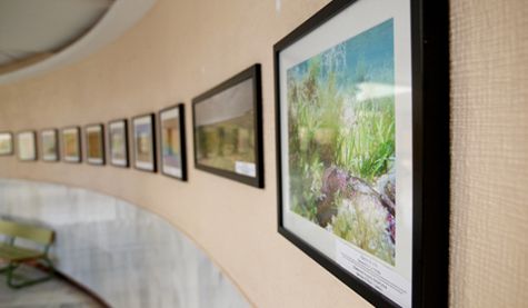 Exposición Fotografía Básica de la Naturaleza