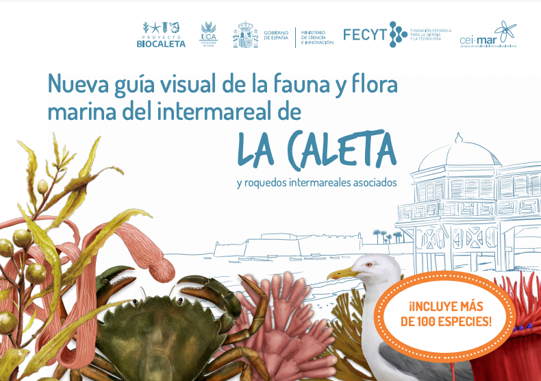 Nueva Guía visual de la Fauna y Flora de La Caleta
