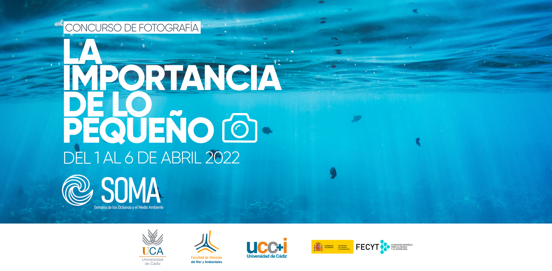 Concurso de Fotografía de la I Semana de los Océanos y el Medio Ambiente (SOMA)